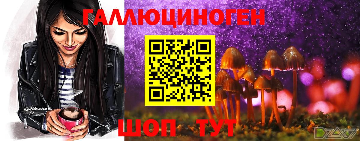 Псилоцибиновые грибы Psilocybe  Псилоцибиновые грибы MAGIC MUSHROOMS  Сокол  Вход с VPN 